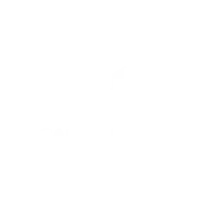 Casteleyn