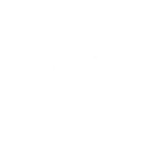 Voi.